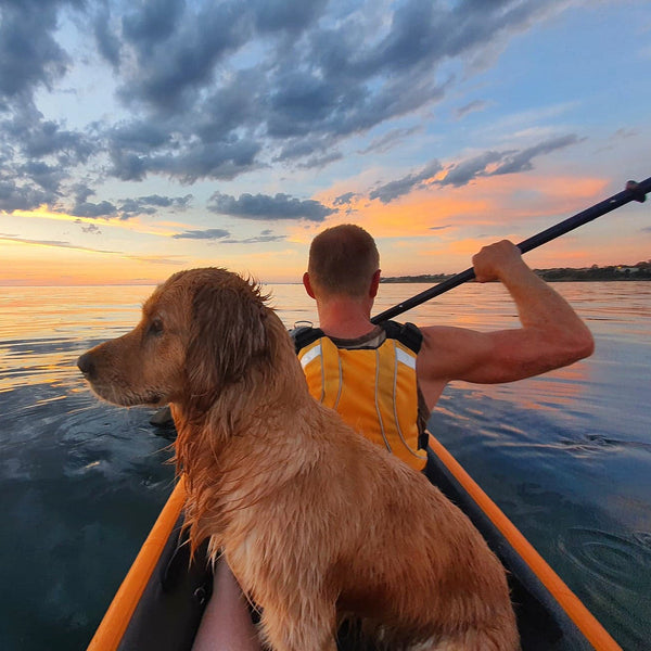 Can Dogs Ride in Inflatable Kayaks?